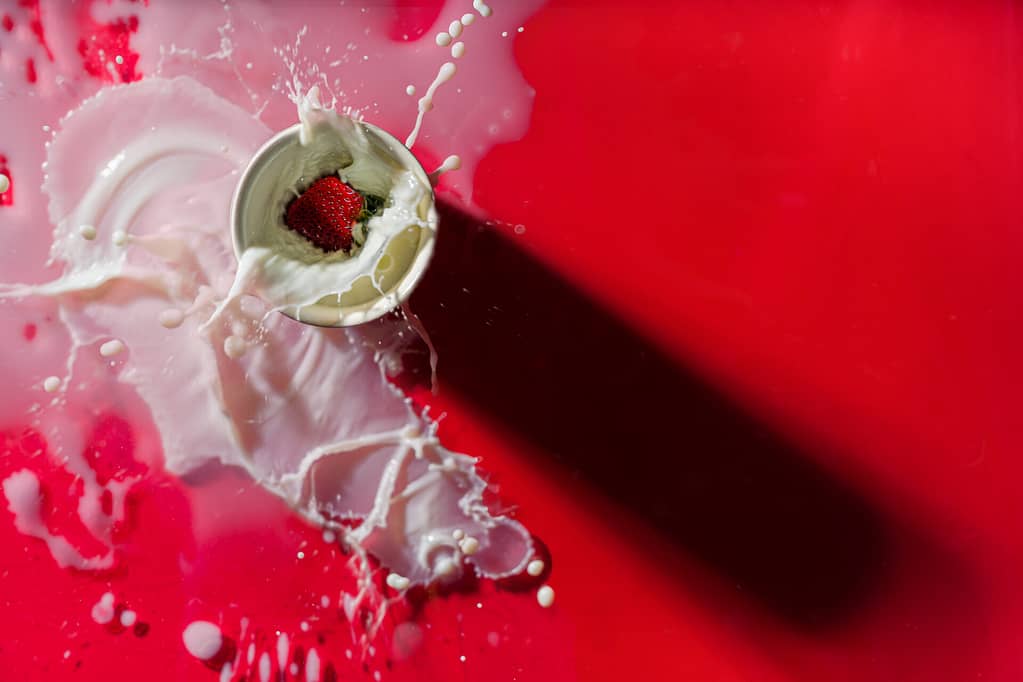Une fraise fraîche tombe dans une tasse de lait, créant un splash sur un fond rouge vif